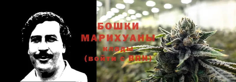 Бошки марихуана OG Kush  где купить   Азнакаево 